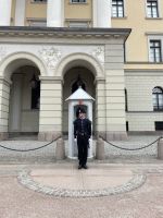 Rundgang durch Oslo - Königspalast