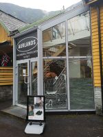 Berühmten Aurlands Penny Loafers Schuhe - Flam