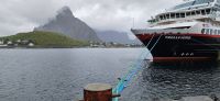 MS Trollfjord in Reine, Lofoten 
