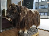 Auf ein Wiedersehen......