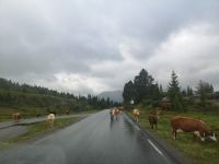 die Bewohner von Invikfjell 