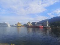 Im Morgennebel - Wasserfuhrpark von Bergen...