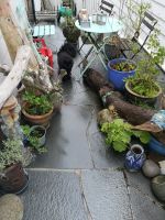 ein versteckter Minigarten in Stavanger 