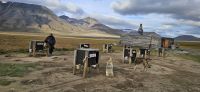 Spitzbergen,  camp Barentz,  Hunde Senioren 
