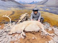 Tag 5 - Polarmuseum, Tromsø