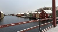 Hurtigruten-Kreuzfahrt // Trondheim