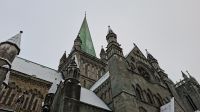 Hurtigruten-Kreuzfahrt // Nidaros-Dom in Trondheim