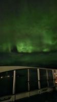 Hurtigruten-Kreuzfahrt // Nordlichter 