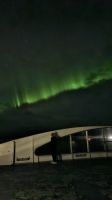 Hurtigruten-Kreuzfahrt // Nordlichter 