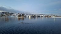 Hurtigruten-Kreuzfahrt // Tromsö
