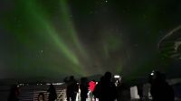 Hurtigruten-Kreuzfahrt // Nordlichter