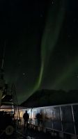Hurtigruten-Kreuzfahrt // Nordlichter