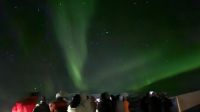 Hurtigruten-Kreuzfahrt // Nordlichter