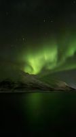 Hurtigruten-Kreuzfahrt // Nordlichter