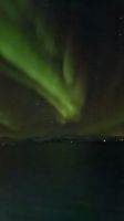 Hurtigruten-Kreuzfahrt // Nordlichter