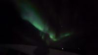 Hurtigruten-Kreuzfahrt // Nordlichter