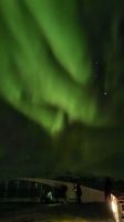 Hurtigruten-Kreuzfahrt // Nordlichter