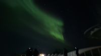 Hurtigruten-Kreuzfahrt // Nordlichter