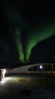 Hurtigruten-Kreuzfahrt // Nordlichter