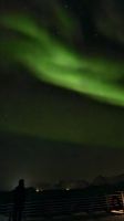 Hurtigruten-Kreuzfahrt // Nordlichter