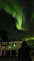 Hurtigruten-Kreuzfahrt // Nordlichter