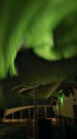 Hurtigruten-Kreuzfahrt // Nordlichter
