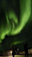 Hurtigruten-Kreuzfahrt // Nordlichter