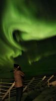 Hurtigruten-Kreuzfahrt // Nordlichter