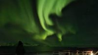 Hurtigruten-Kreuzfahrt // Nordlichter