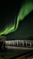 Hurtigruten-Kreuzfahrt // Nordlichter
