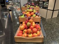 Frühstücksbüffet an Bord der MS Nordlyst