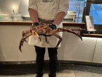 Riesenkrabbenpräsentation