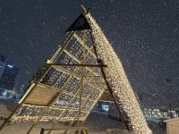 Stockfisch Holzgestell namens Hjell