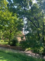 Gamle Aker Kirche...