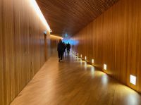 Im hölzernen Instrument