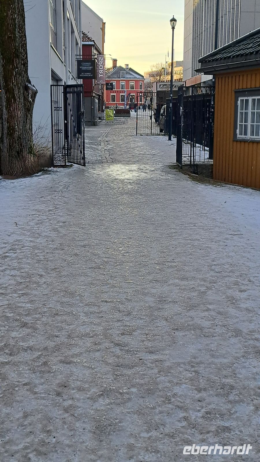 Braucht man Spikes? Ein klares - 