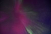 Hurtigruten - Midnatsol - Extrem Polarlicht - Kp 9 - Tag 03 - Reiseleiter Martin Büchner