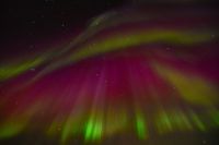 Hurtigruten - Midnatsol - Extrem Polarlicht - Kp 9 - Tag 03 - Reiseleiter Martin Büchner