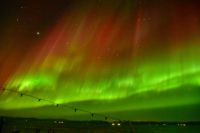 Hurtigruten - Midnatsol - Extrem Polarlicht - Kp 9 - Tag 03 - Reiseleiter Martin Büchner