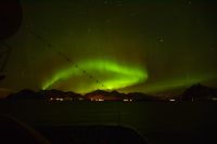 Polarlicht über dem Vestfjord und dem Lofoten Archipel