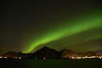 Polarlicht über dem Vestfjord und dem Lofoten Archipel