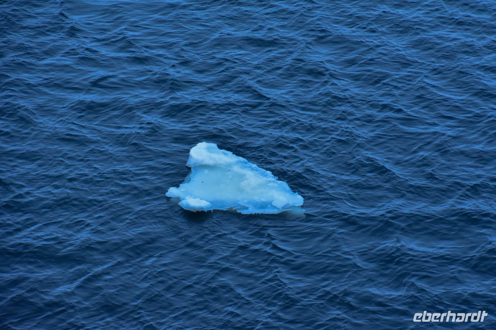 Eis im Varangerfjord aus dem Pasvikfluss