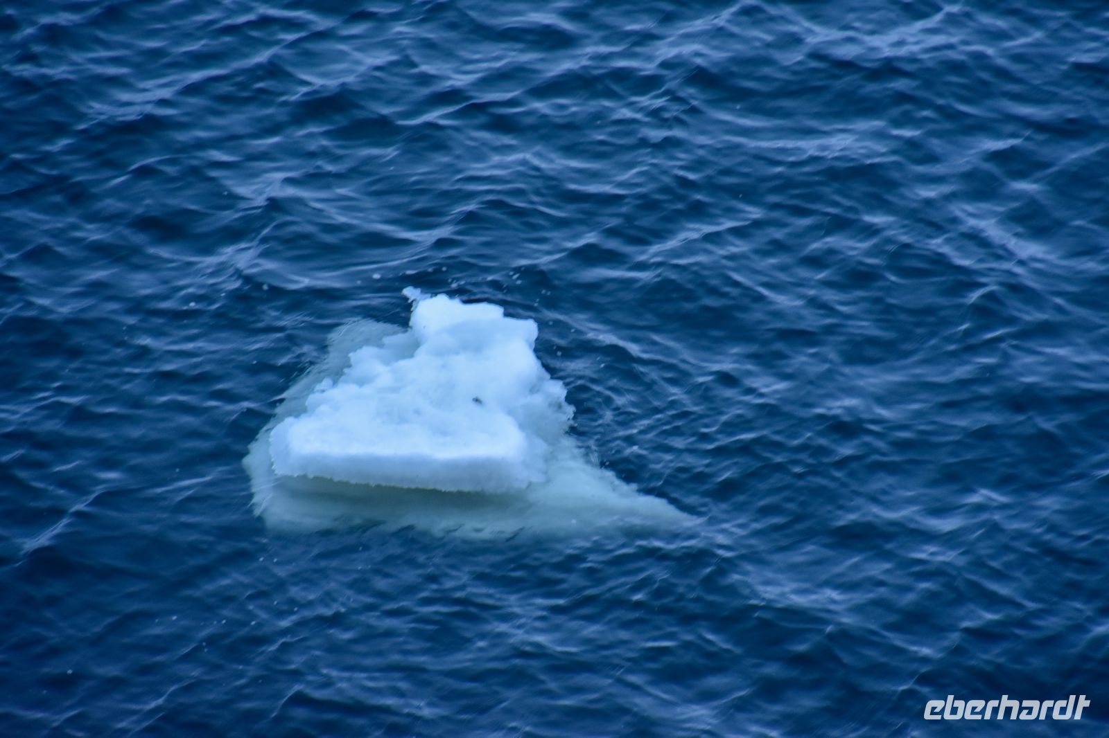 Eis im Varangerfjord aus dem Pasvikfluss