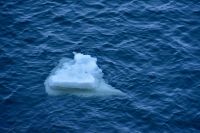 Eis im Varangerfjord aus dem Pasvikfluss