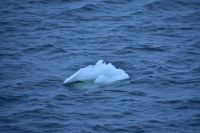 Eis im Varangerfjord