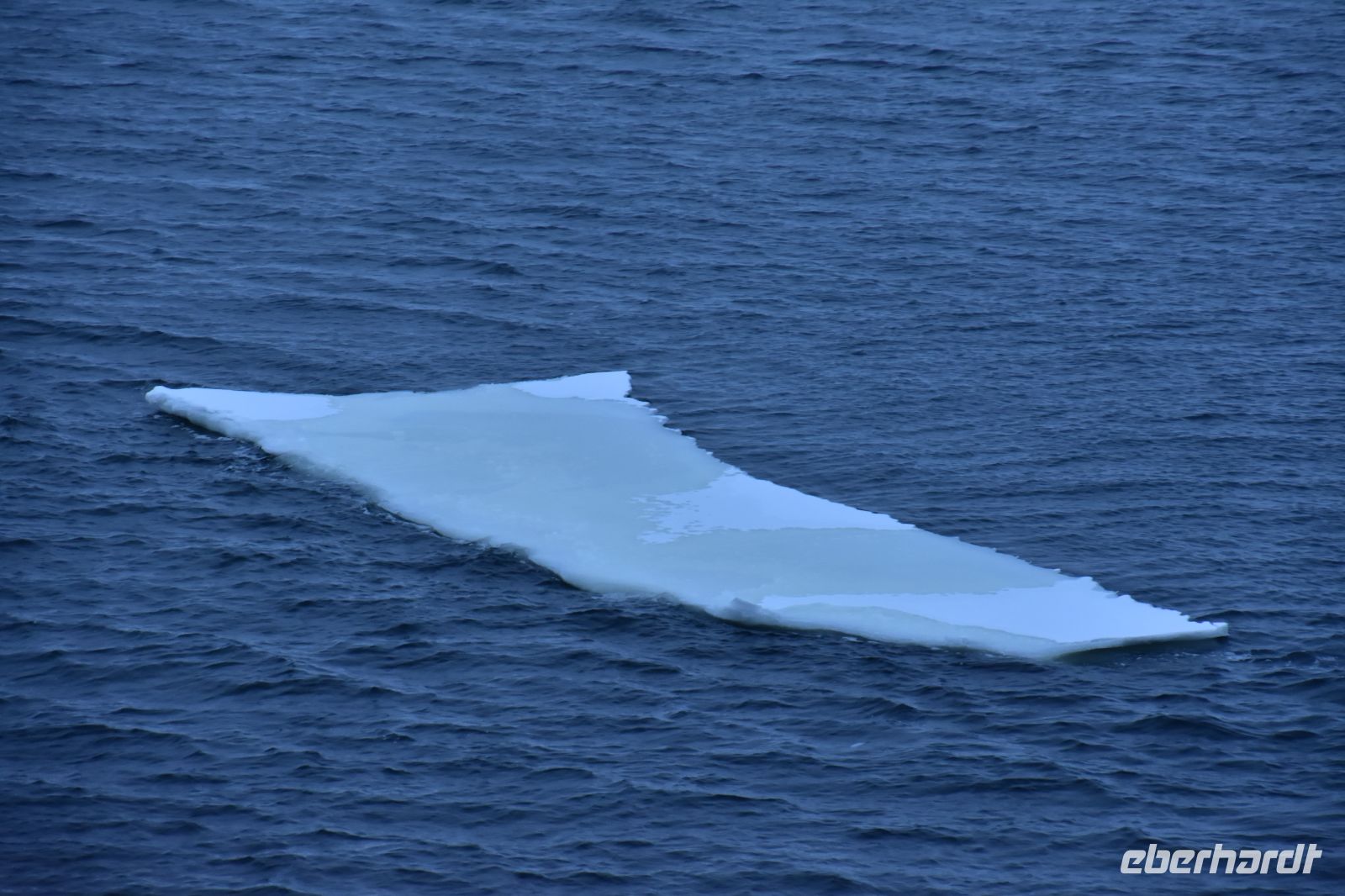 Eis im Varangerfjord