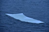 Eis im Varangerfjord