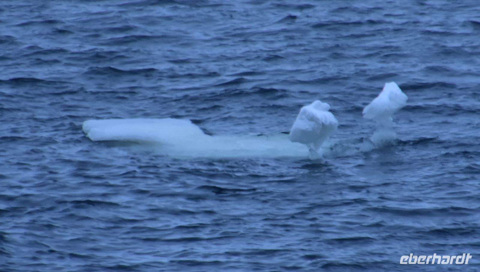 Eistürme im Varangerfjord