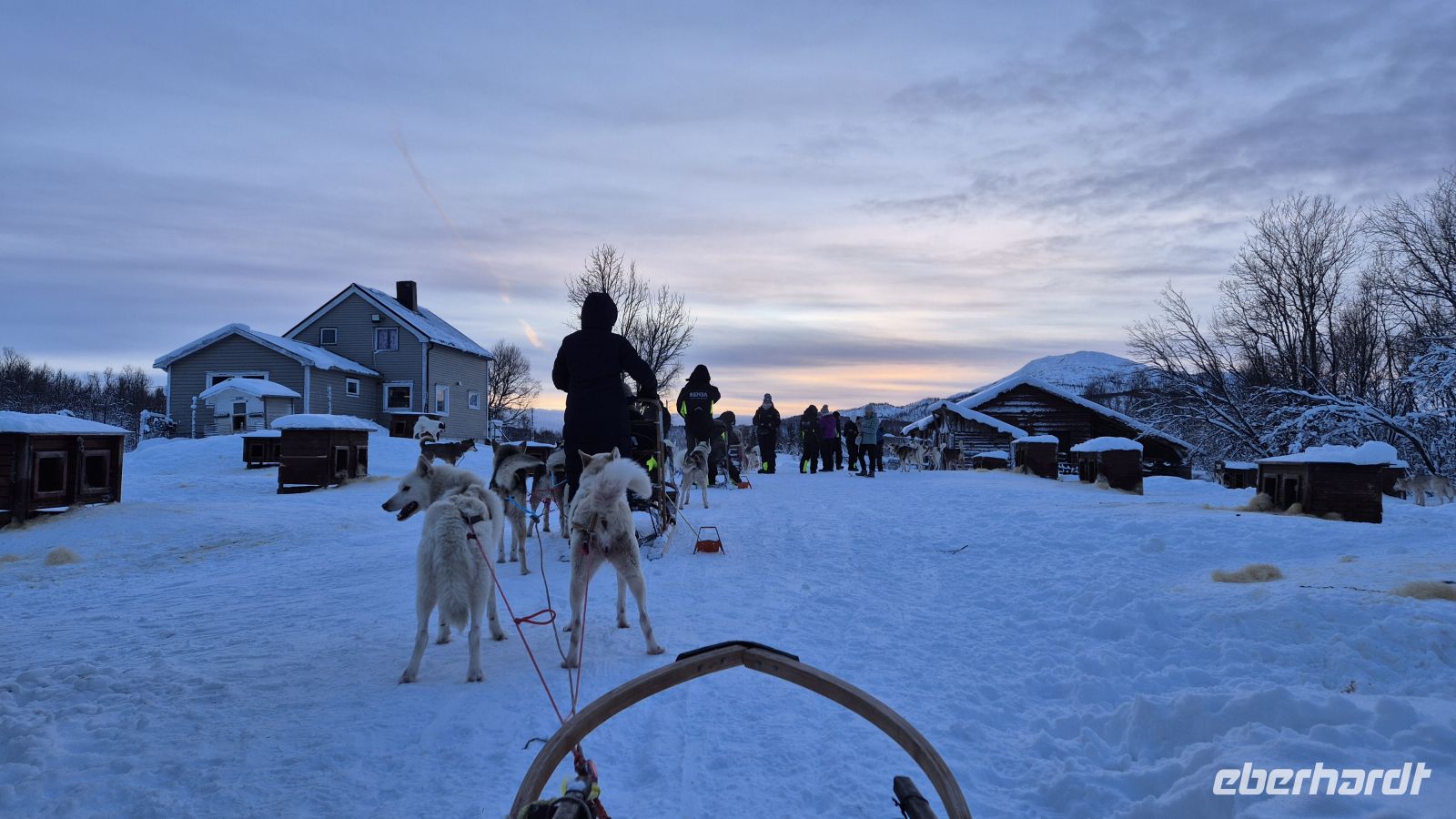 Senja Husky Adventure