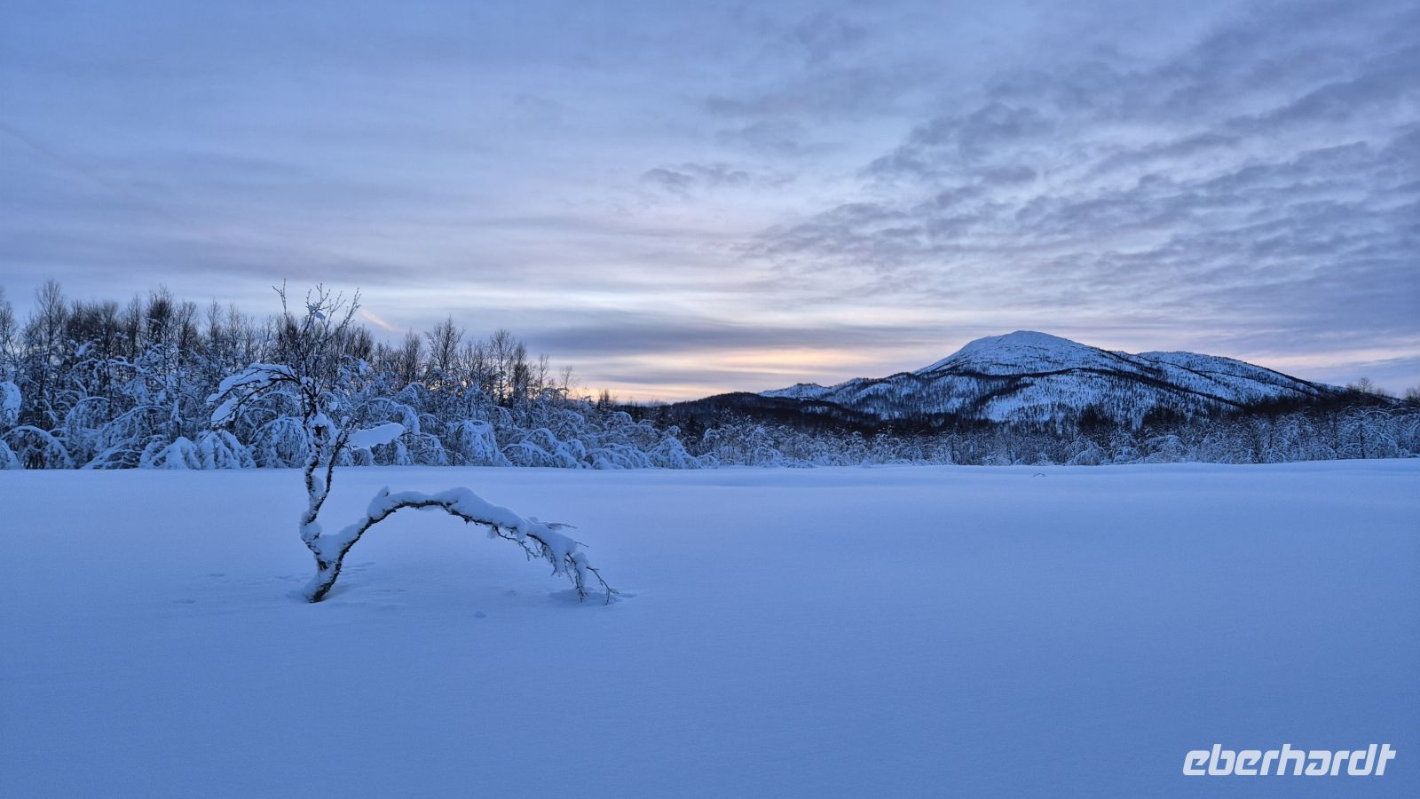 Senja Husky Adventure